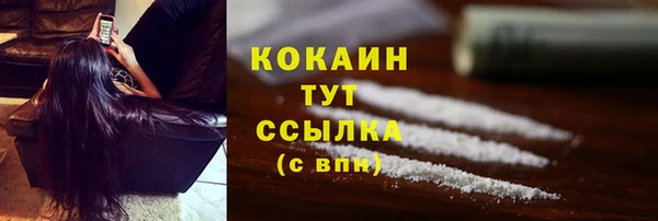 ПСИЛОЦИБИНОВЫЕ ГРИБЫ Белоозёрский