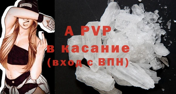 ПСИЛОЦИБИНОВЫЕ ГРИБЫ Белоозёрский