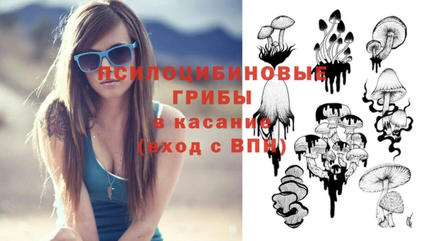 ПСИЛОЦИБИНОВЫЕ ГРИБЫ Белоозёрский