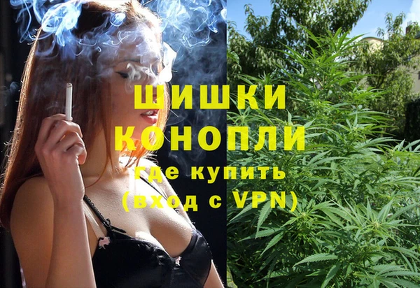 ПСИЛОЦИБИНОВЫЕ ГРИБЫ Белоозёрский
